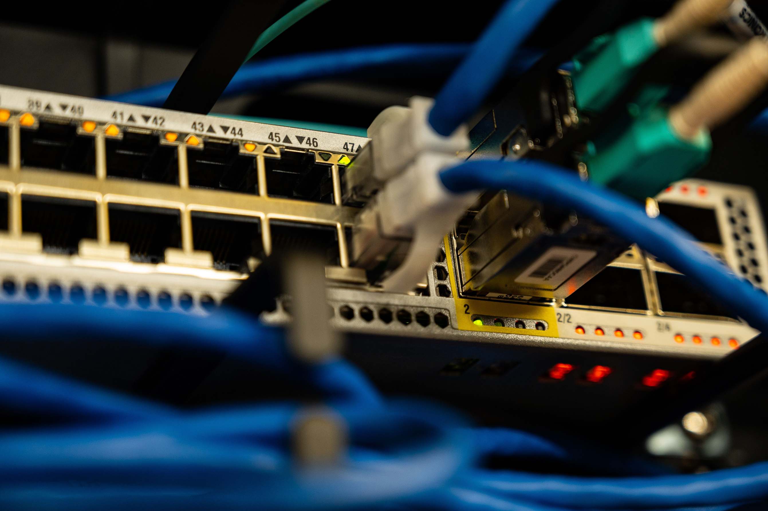 Close view of ethernet cables plugged into a network switch
